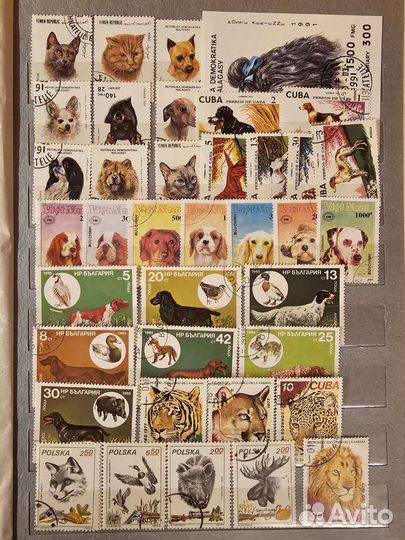 Флора и фауна 2