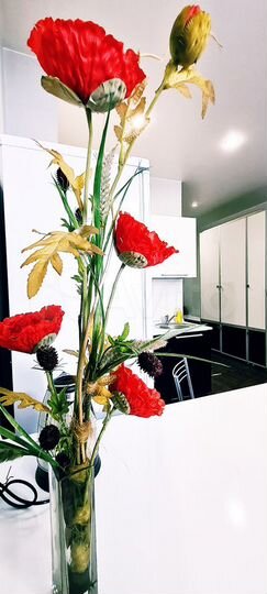 Квартира-студия, 40 м², 6/17 эт.