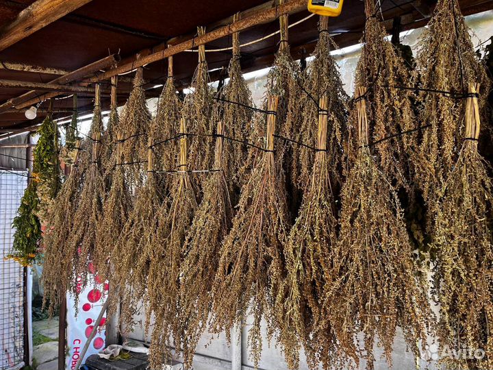 Веник для бани Полынь, Пижма