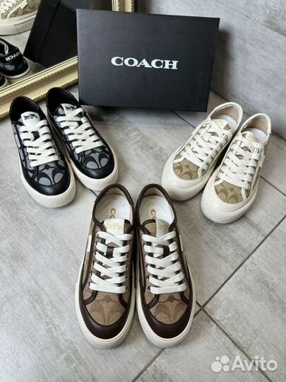 Кеды Coach