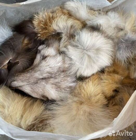 Меховой лоскут (лиса, писец, соболь,енот)