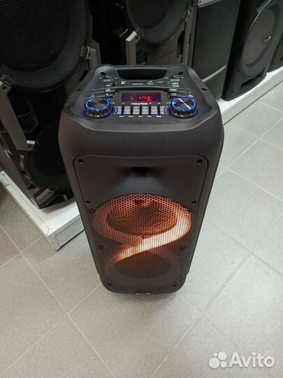 Колонка eltronic 20-58 и 20-59 500Ватт, 2-микр