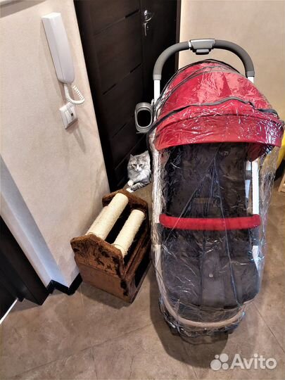 Коляска прогулочная Babyton Active Red