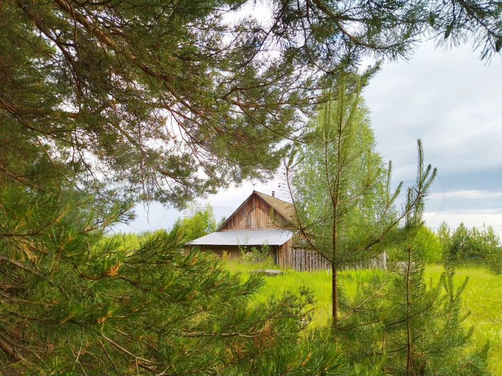 Дом 55,6 м² на участке 43 сот.