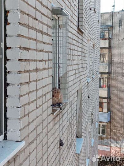 Кошачий балкон и решётка антикошка