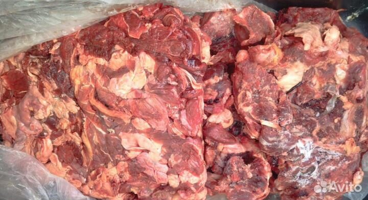 Мясо говядина для собак