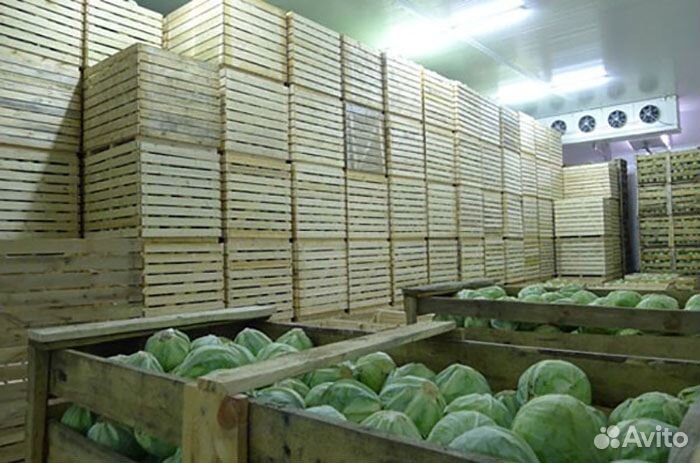 Привлекаем инвестиции с ежемесячной выплатой 3%