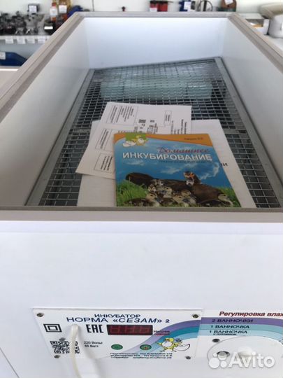 Инкубатор