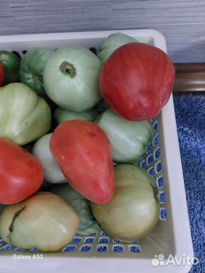 Помидоры домашние