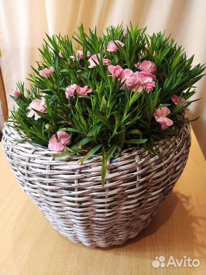 Кашпо из ротанга 12 литров