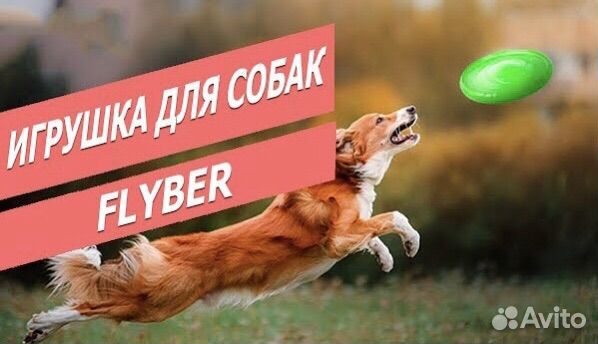 Летающая тарелка Flyber 22см. для собак Фрисби