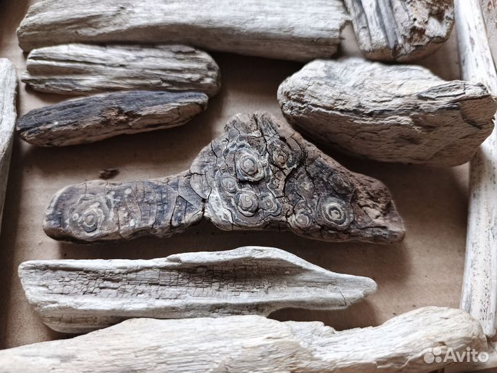 Палочки с моря дрифтвуд набор