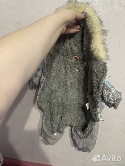 Одежда для собак мелких пород бу