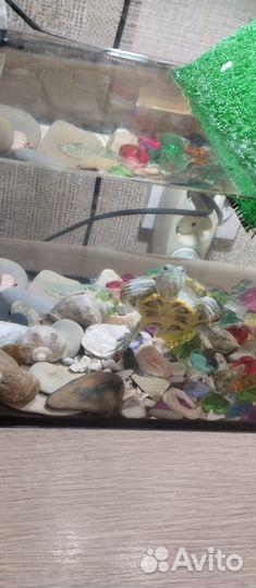 Черепашки с аквариумом