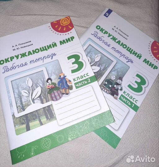 Рабочие тетради по окружающему миру 3 класс