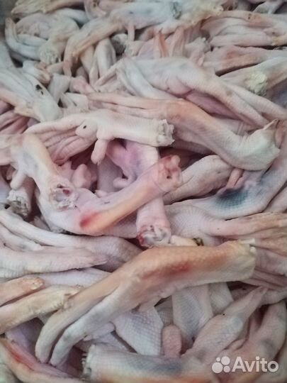 Мясо для собак