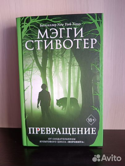 Мэгги Стивотер