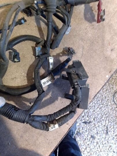 Проводка двигателя коса Chevrolet Aveo T 200