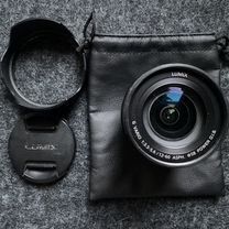 Panasonic lumix 12-60