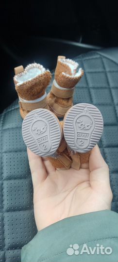 Одежда и Обувь для маленьких собак