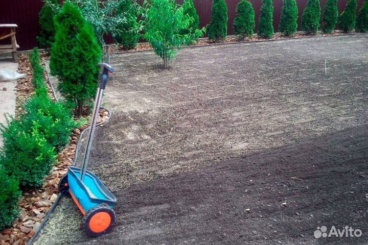 Посевной газон