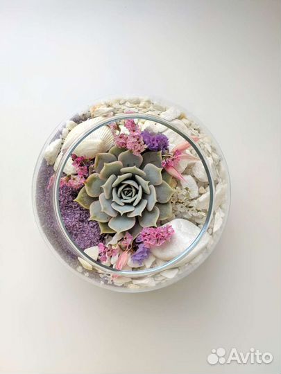 Флорариум шар-мини