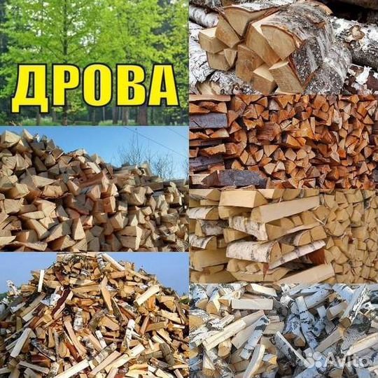 Дрова