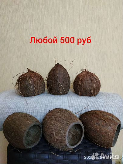 Креветки Жёлтый неон/Вишни /Кокосовые гроты