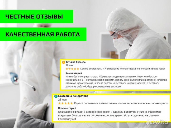 Уничтожение клопов тараканов плесени. Дезинфекция