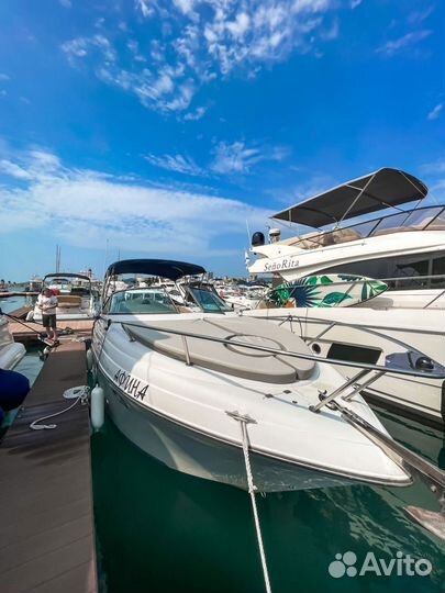 Утренняя рыбалка