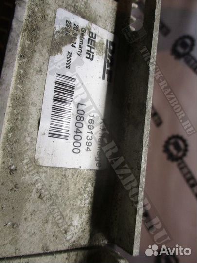 Интеркулер DAF