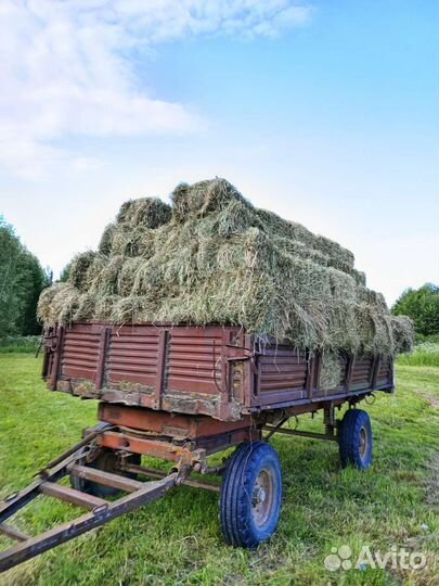 Подаю многотравия самая лучшая трава