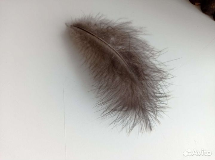 Перья для ловца снов