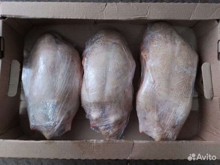 Мясо муларда