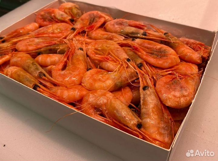 Креветка северная. Промфлот. Опт