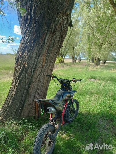 Bse mx125