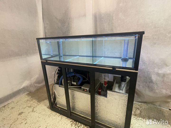 Аквариум для устриц в наличии