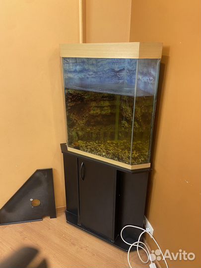 Аквариум с тумбой угловой 151см