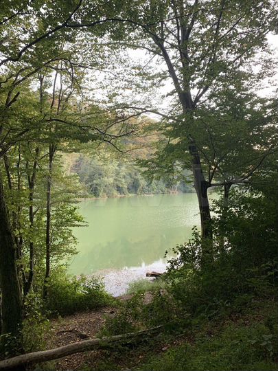 3-к. квартира, 80 м², 4/16 эт.