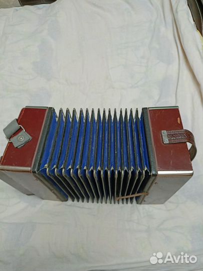 Гармонь шуйская