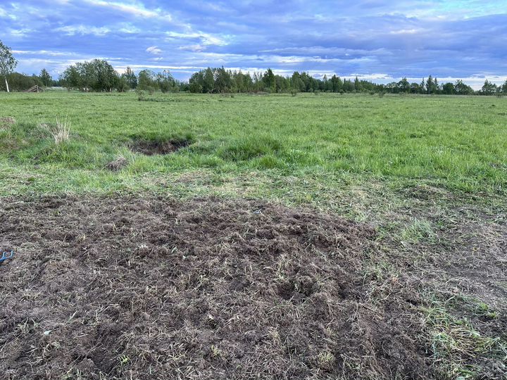 Участок 1,5 га (СНТ, ДНП)