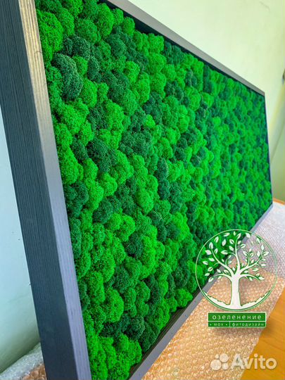 Панно панели фитостены стабилизированный мох