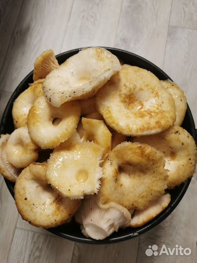 Грузди