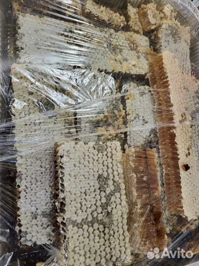 Мёд в сотах