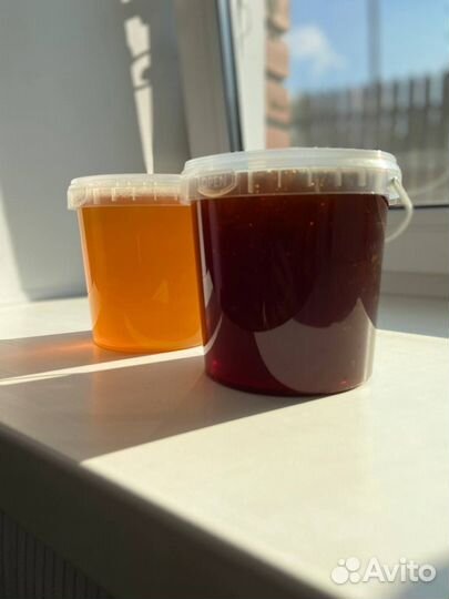 Свежий мёд с Алтая опт