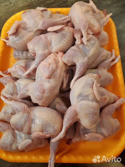 Мясо перепела