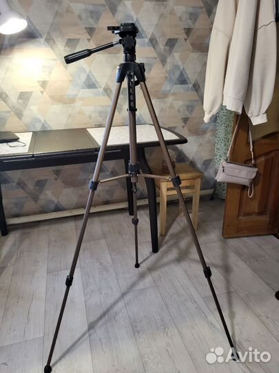 Штатив