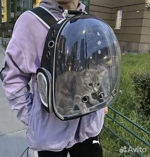 Рюкзак переноска для животных