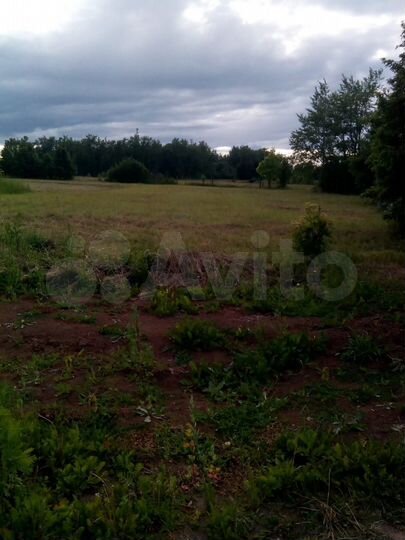 Участок 32 сот. (личное подсобное хозяйство (лпх))