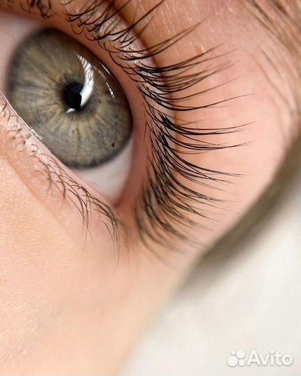 Ламинирование ресниц, брови